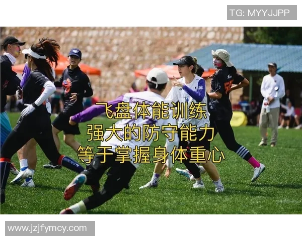 深入分析北京飞盘队的区域防守战术与策略解析