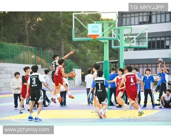 深圳篮球队的蜕变与成长之路全景纪实