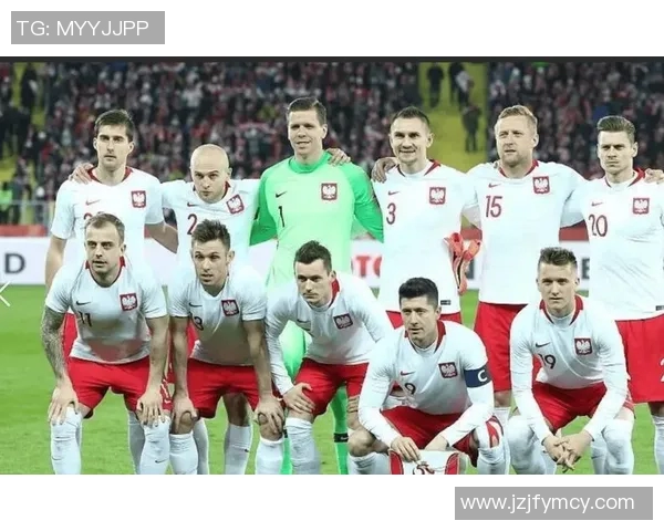 丹麦与波兰世预赛2017精彩对决回顾与分析